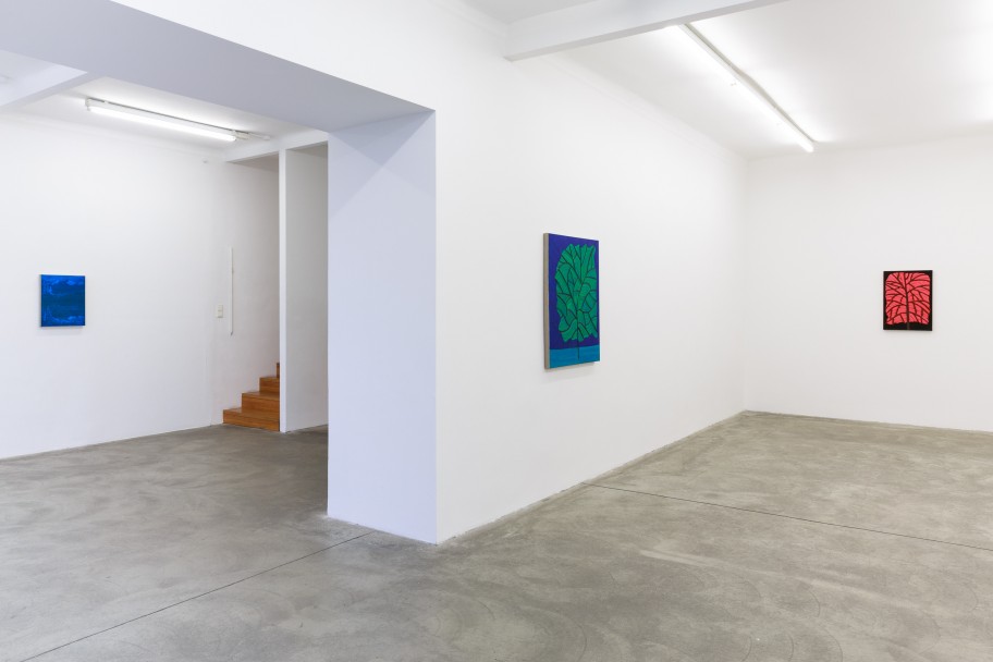 Benjamin Butler Ausstellungsansicht, Galerie Martin Janda, 2018 Foto: Anna Konrath 