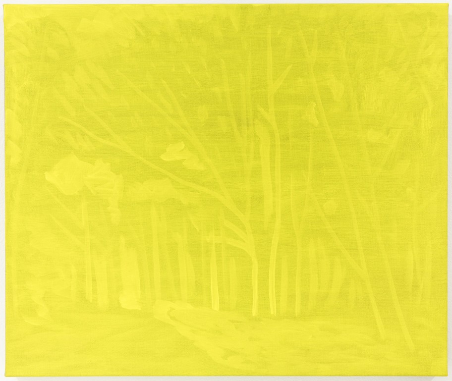 Benjamin Butler Yellow (Landscape), 2018 Öl auf Leinen 50 x 60 cm 