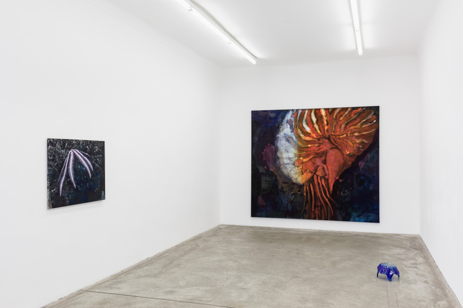 Hugo Canoilas Ausstellungsansicht, Galerie Martin Janda, 2021 