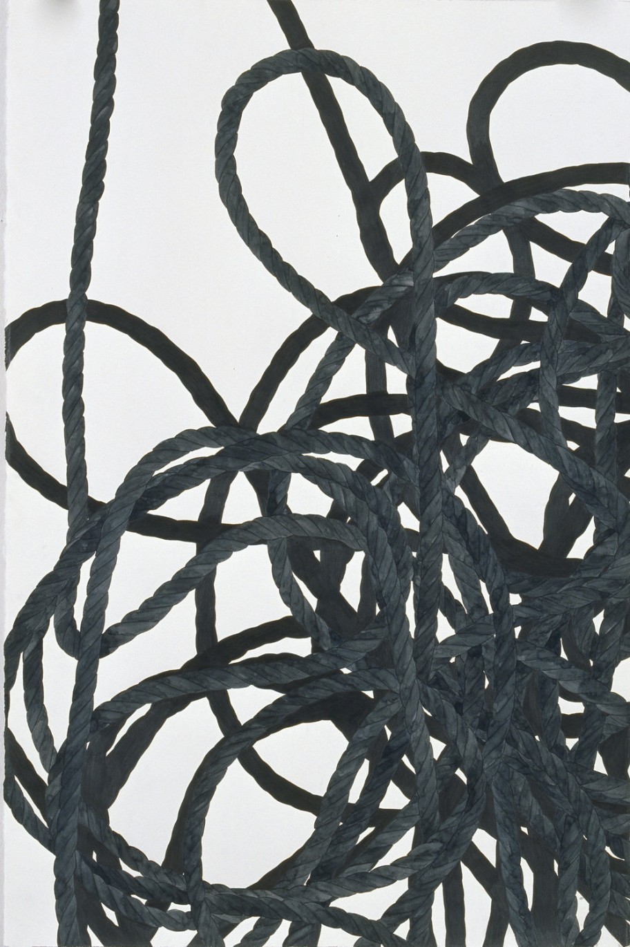Adriana Czernin Verschlingungen, umschattet, 2008 Aquarell, Tinte, Bleistift auf Papier 101,6 x 66 cm 