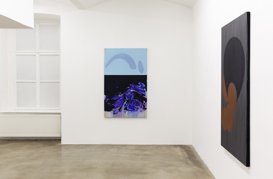 Milena Dragicevic Exhibition view, Galerie Martin Janda, 2018 Photo: Anna Konrath 
