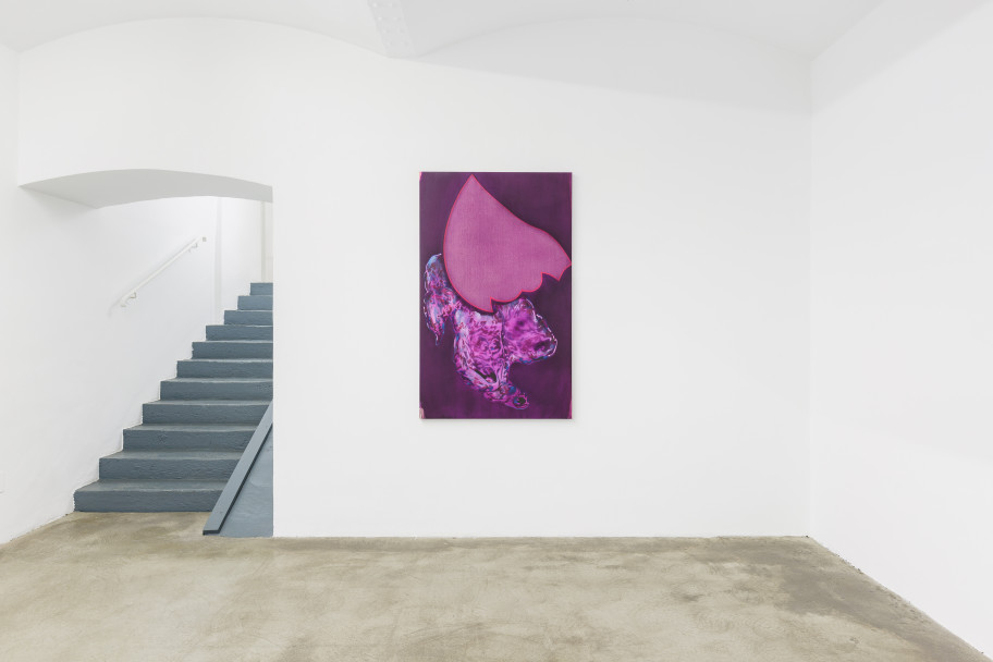 Milena Dragicevic Exhibition view, Le dernier des 8 solitaires, Galerie Martin Janda, 2022Photo: Manuel Carreon Lopez / kunstdokumentation.com 
