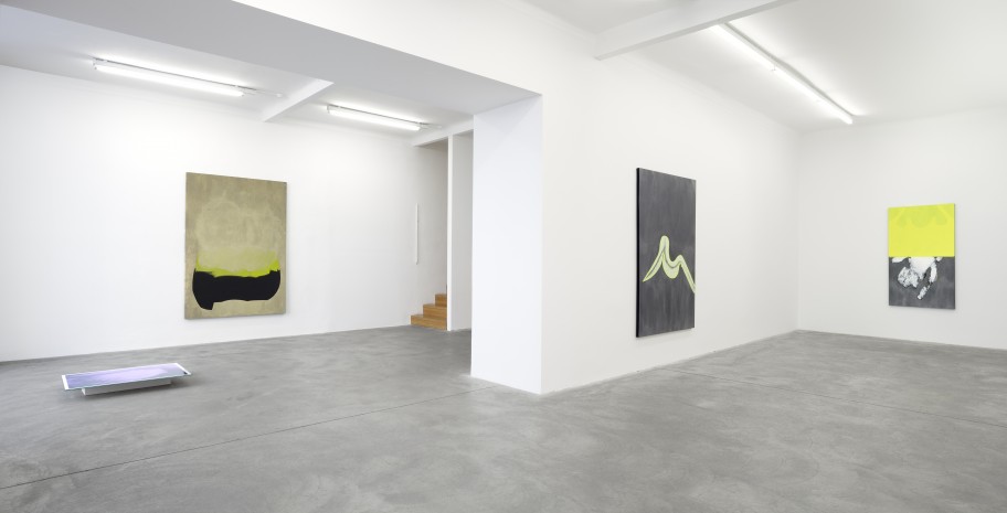 Milena Dragicevic Exhibition view, Galerie Martin Janda, 2014Photo: (c) Markus Wörgötter 