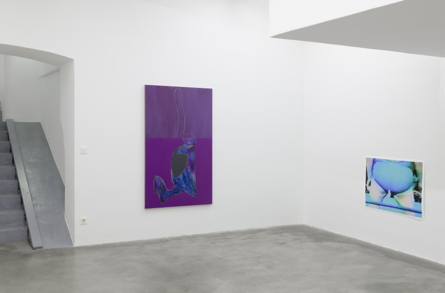 Milena Dragicevic Exhibition view, Galerie Martin Janda, 2014Photo: (c) Markus Wörgötter 