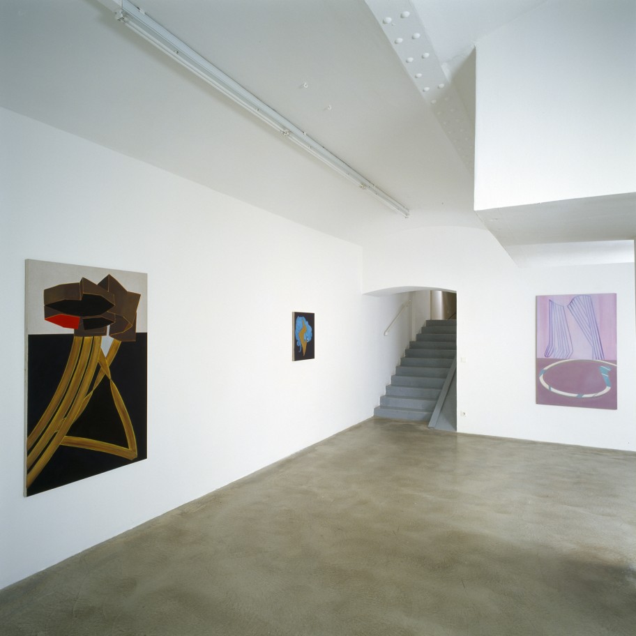 Milena Dragicevic Exhibition view, Galerie Martin Janda, 2011