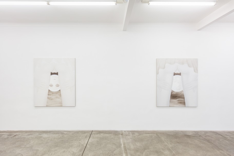 Melanie Ebenhoch Ausstellungsansicht, Galerie Martin Janda, 2020 