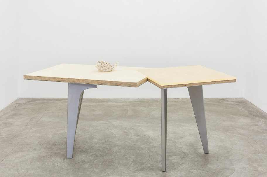  Yu  Ji Forager – Dessert, 2020 birch, resin, plaster, coral, stainless steel 84.5 x 203 x 100 cm 