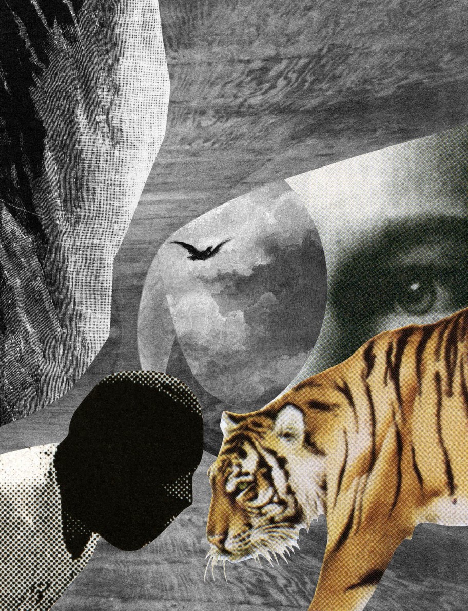 Jakob Kolding The Raven and the Tiger, 2014 lambda print mounted on acrylic glass and aludibond 130,4 x 100 cm 