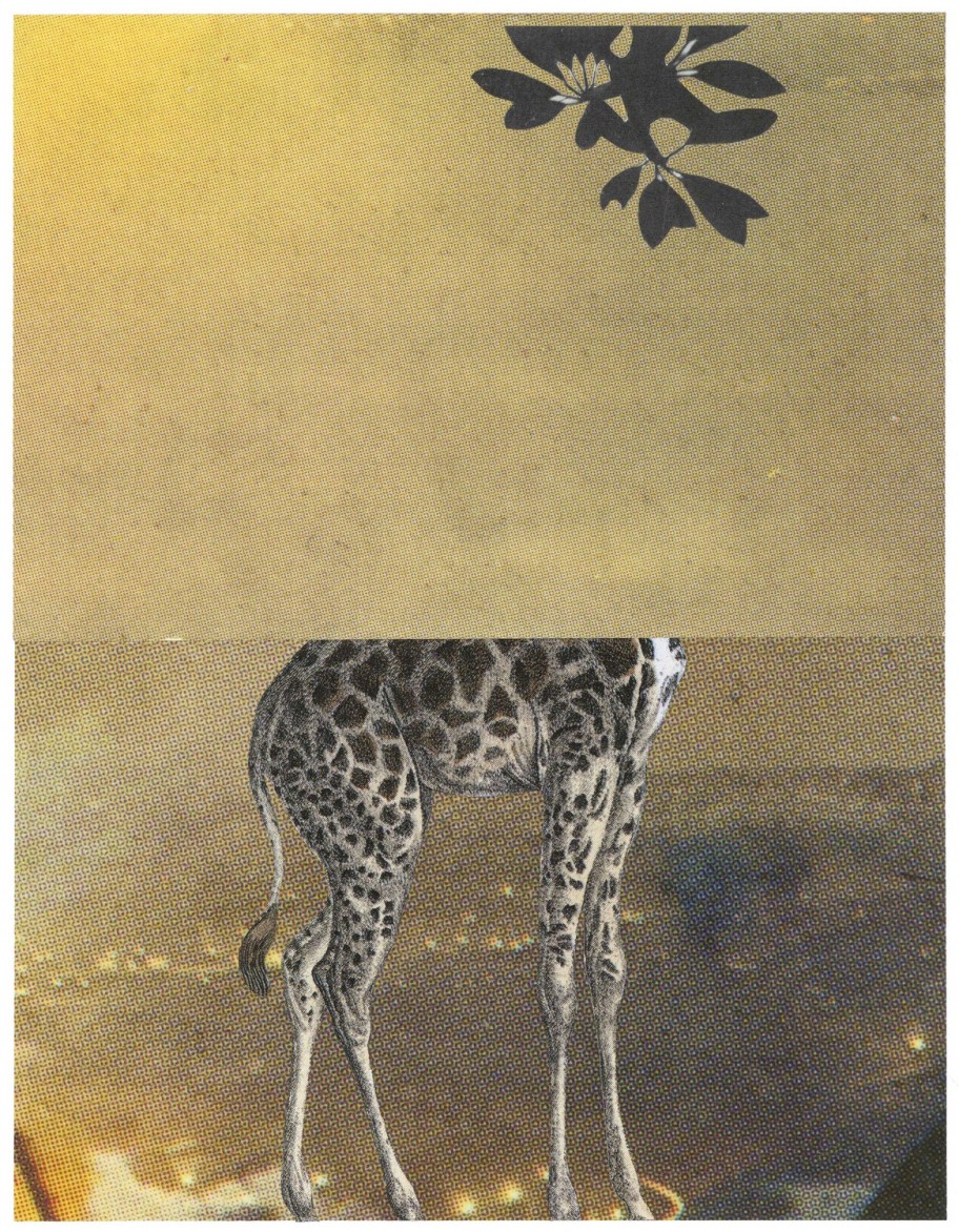 Jakob Kolding The Giraffe, 2014 collage on paper 32,6 x 25 cm 