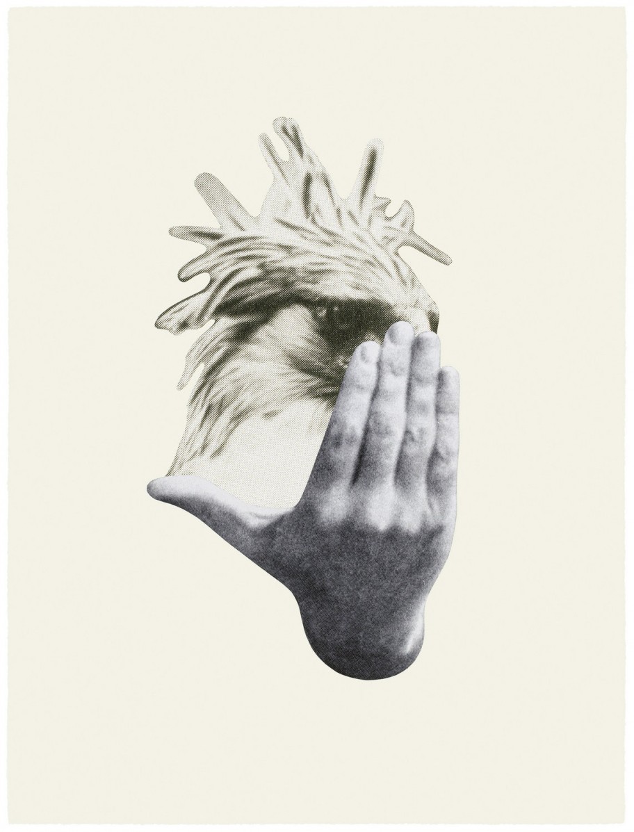 Jakob Kolding Untitled, 2014 collage on paper 76 x 56,5 cm 