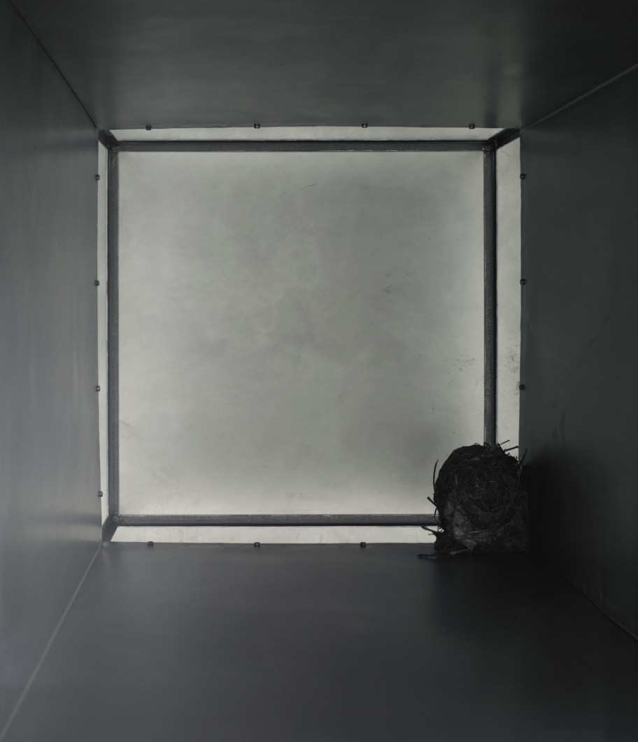 Roman Ondak Nest, 2012Installation 100 x 96 x 96 cm 