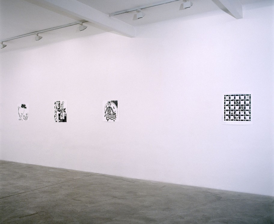 Peter Pommerer Ausstellungsansicht, Galerie Martin Janda, 2003