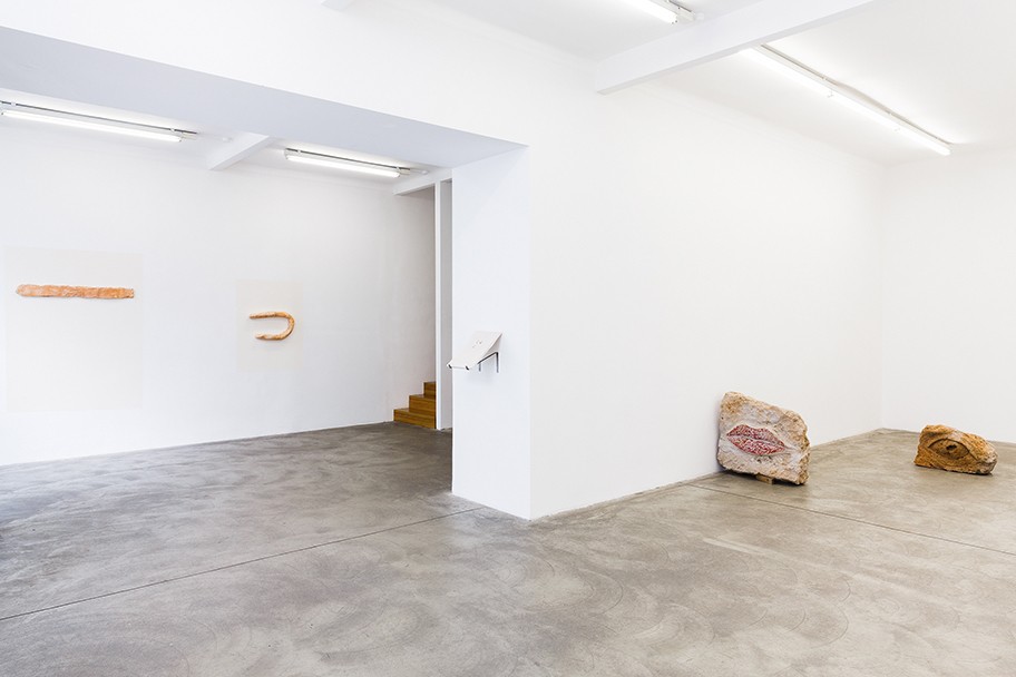 Tania Pérez Córdova Ausstellungsansicht, Galerie Martin Janda, 2019 Foto: Anna Konrath 