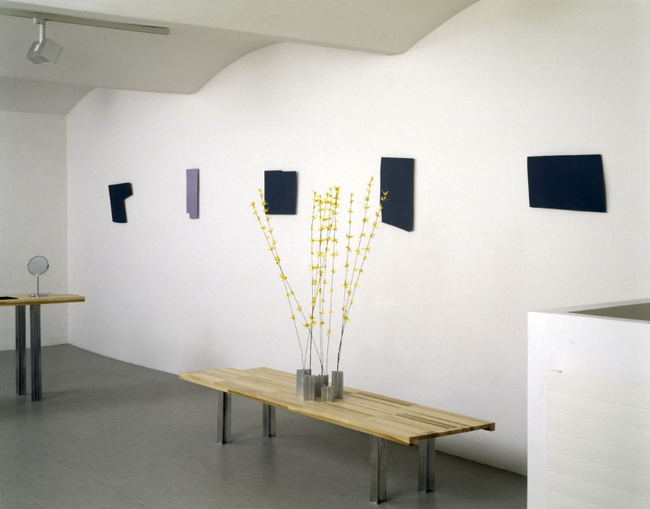Joe Scanlan Ausstellungsansicht Galerie Martin Janda, 2000