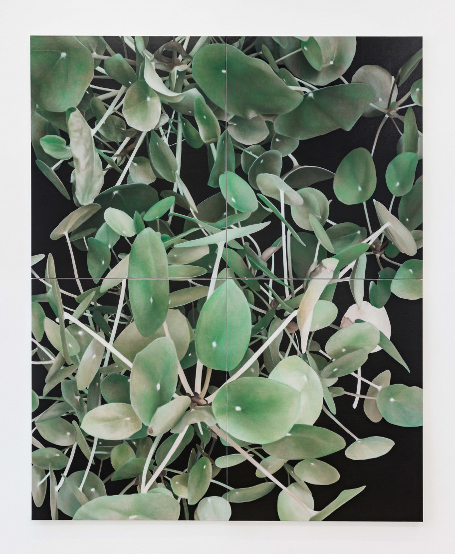 Rainer Spangl Untitled, 2023 Öl auf Leinwand 210 x 170 cm 