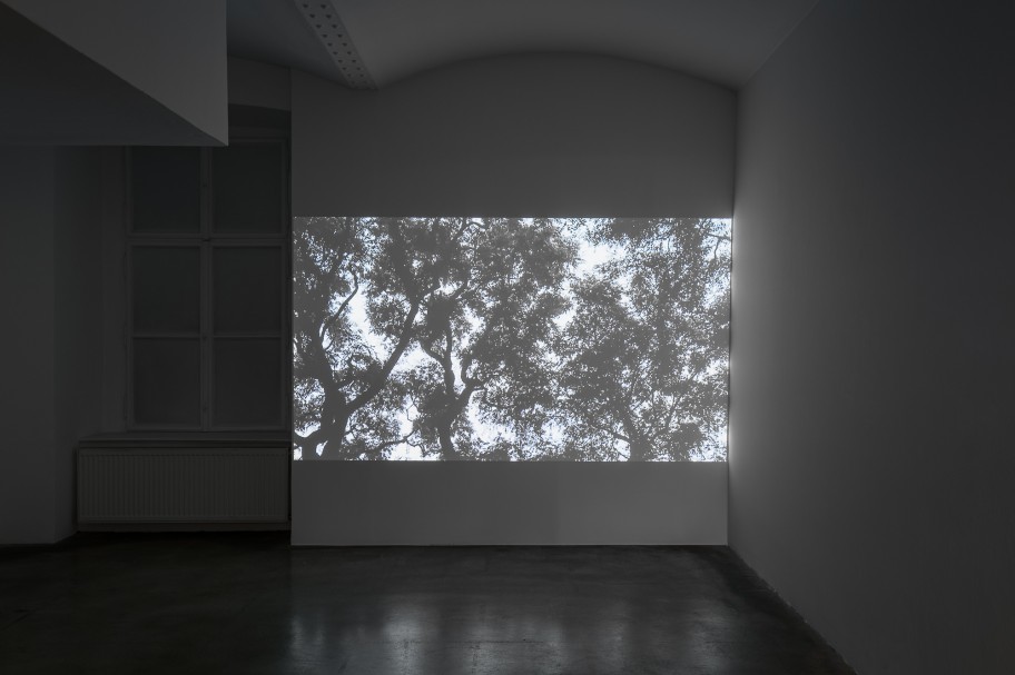 Alejandro Cesarco  Ausstellungsansicht, Galerie Martin Janda, 2020 