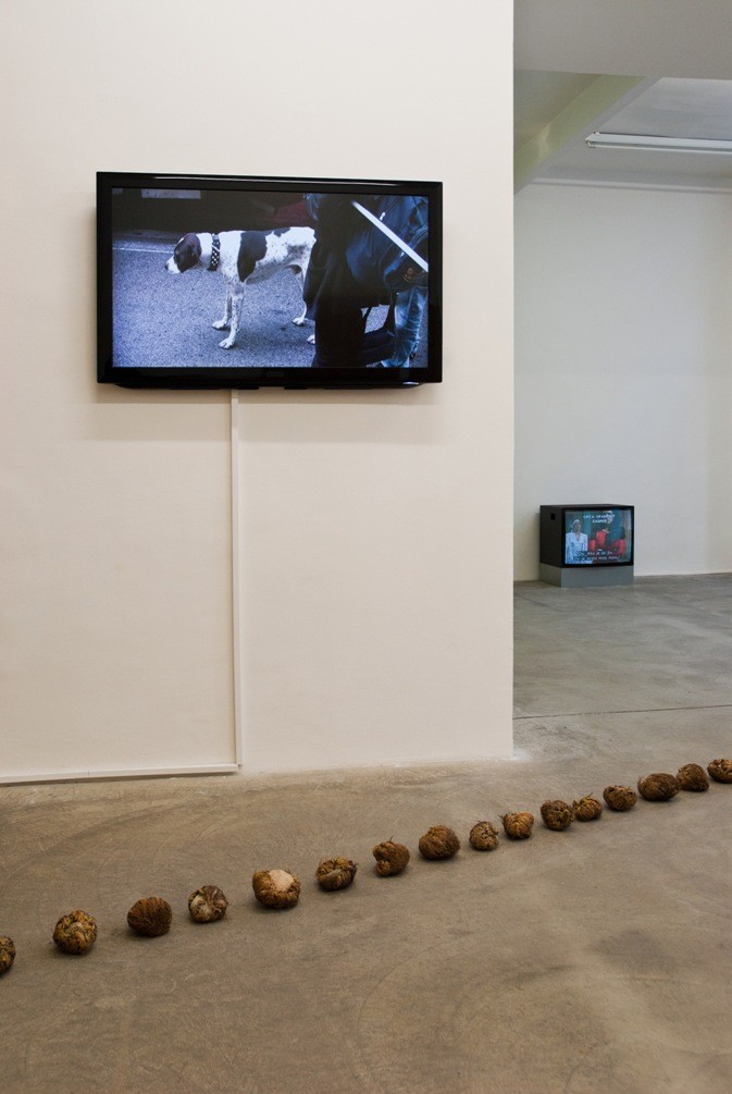 Exhibition View, Galerie Martin Janda, 2011 