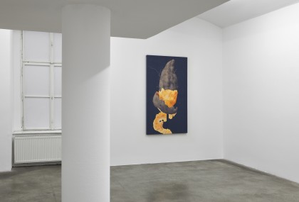 Maja Vukoje - Exhibition View, Galerie Martin Janda, 2015 - Photo: Markus Wörgötter