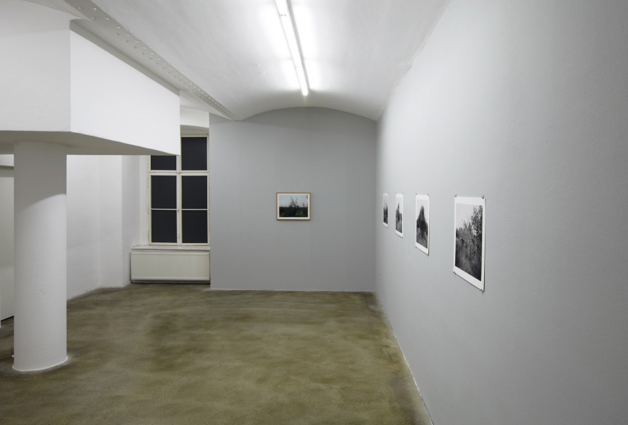 Sharon Ya'ari Ausstellungsansicht, Galerie Martin Janda, 2012    