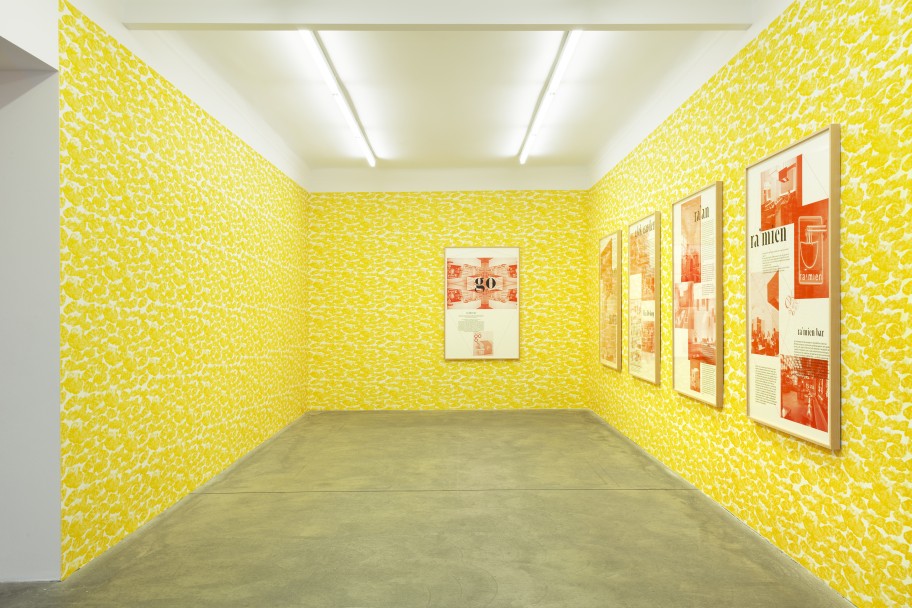 Jun Yang Ausstellungsansicht, Galerie Martin Janda, 2015 Foto: (c) Markus Wörgötter 