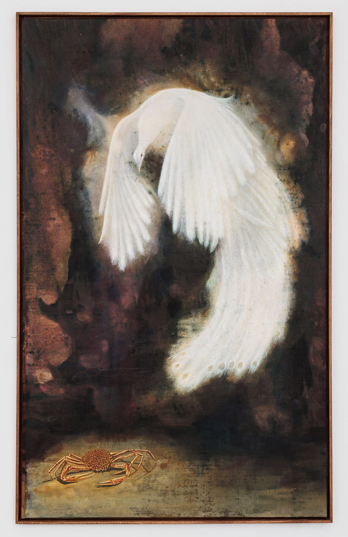 Hugo Canoilas, Peafowl and the Spider Crab, 2024