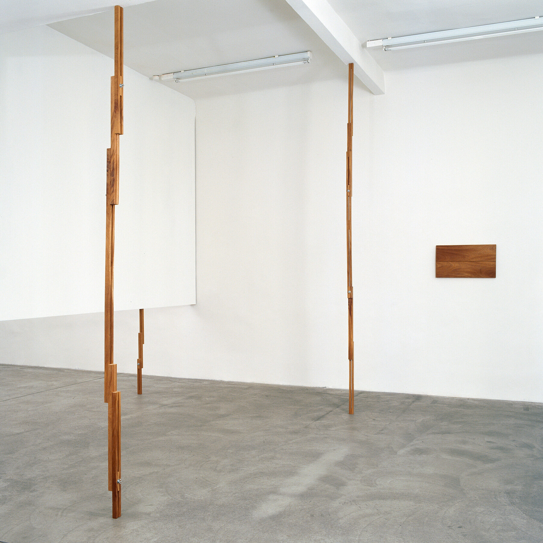 Gabriel Sierra, (Untitled) Cola De Zorro, 2011