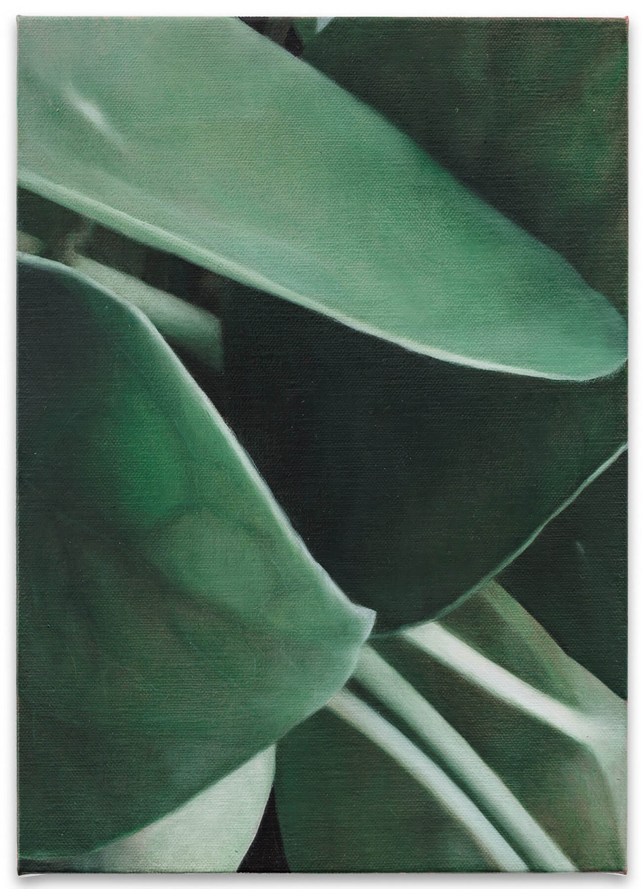 Rainer Spangl, Untitled , 2026