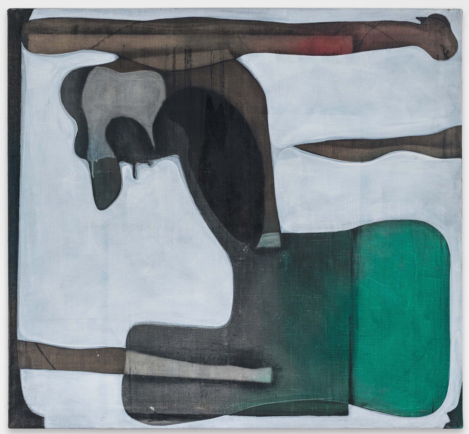 Erwin Bohatsch, Untitled, 2020