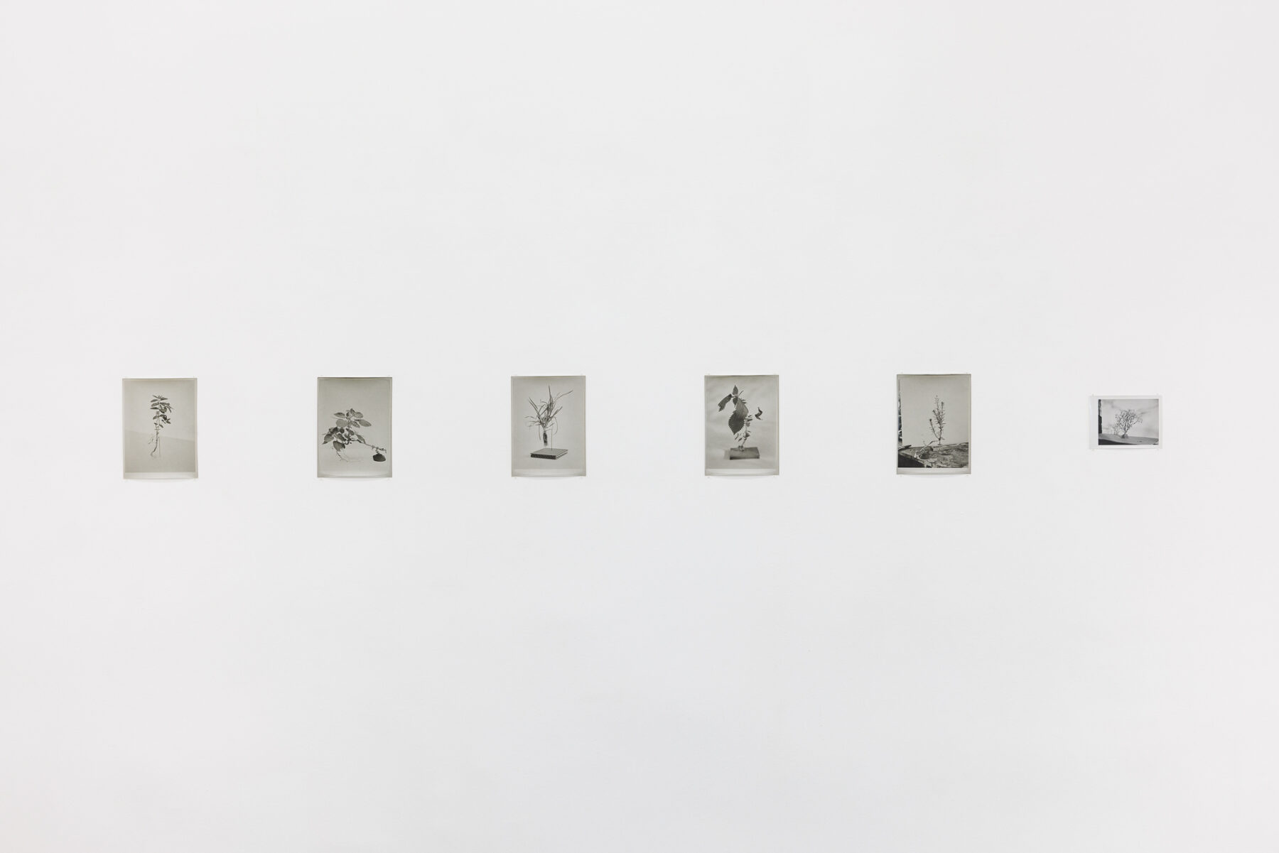 Exhibition view, Galerie Martin Janda, 2026