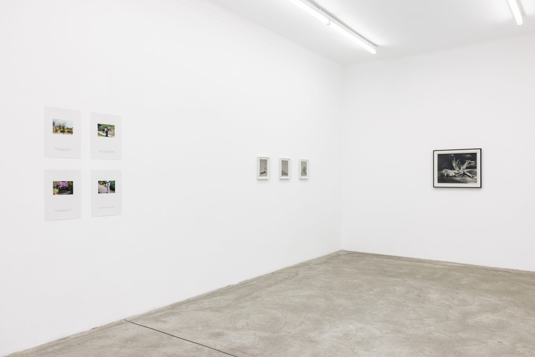 2026_03_19_Martin-Janda_000026_web