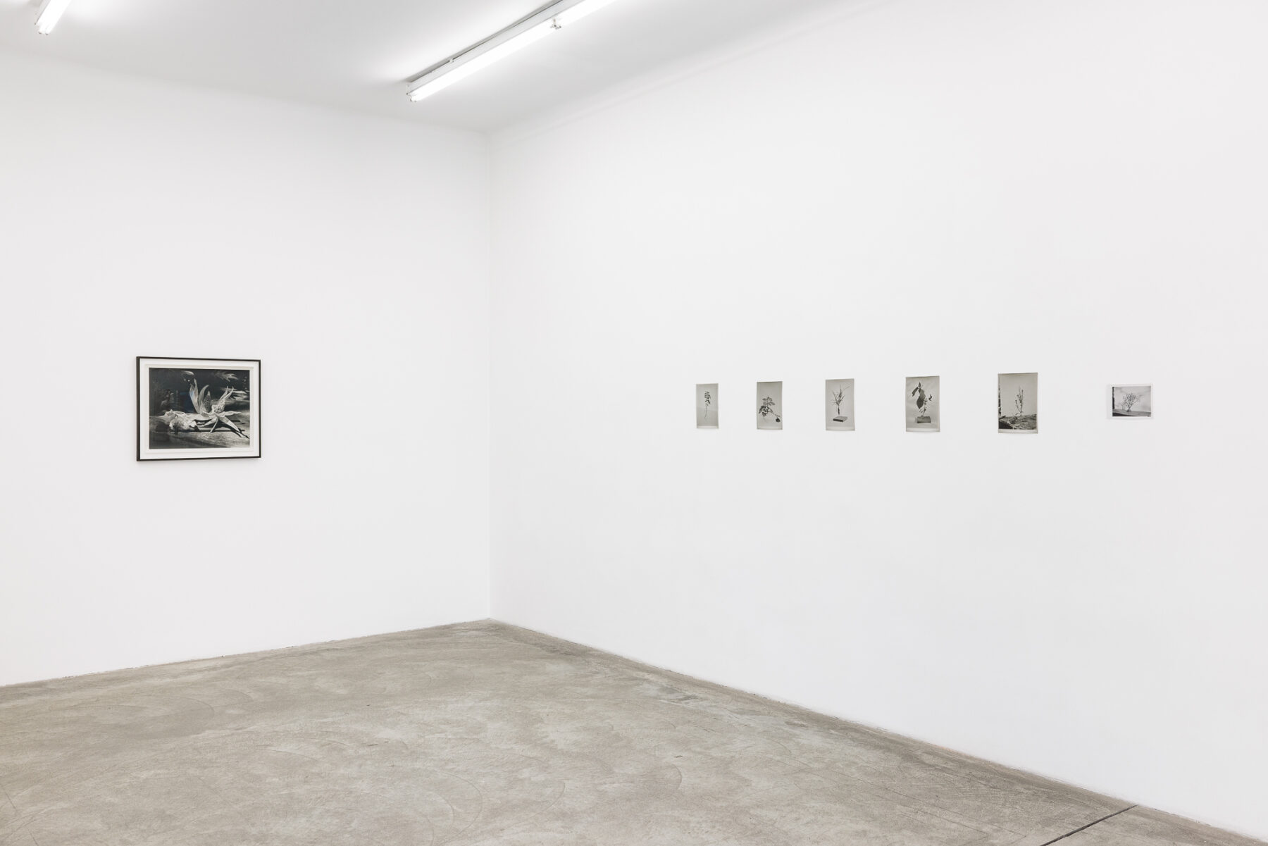 Exhibitiom view, Galerie Martin Janda, 2026