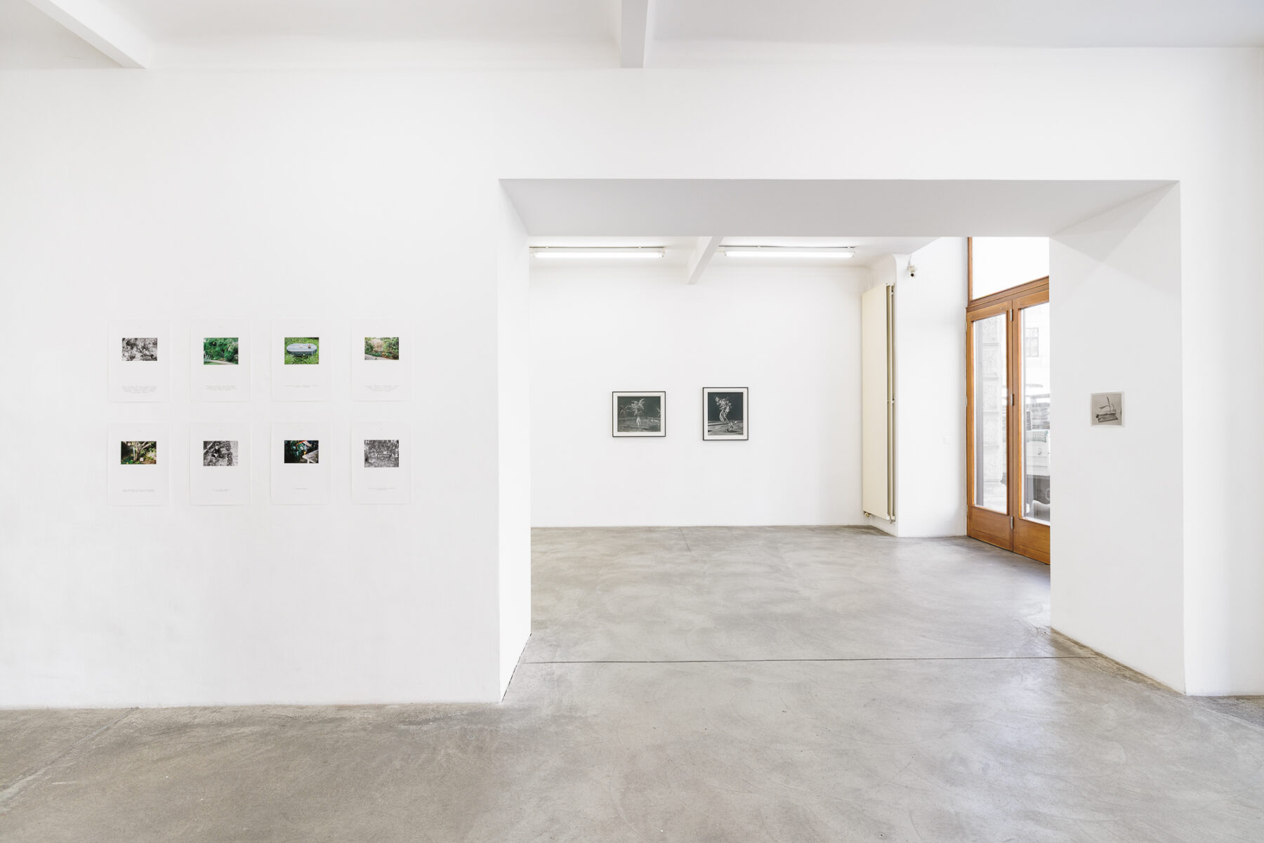 Sharon Ya'ari: Plants I didn't ask for, ones I did 20.03.–02.05.2026