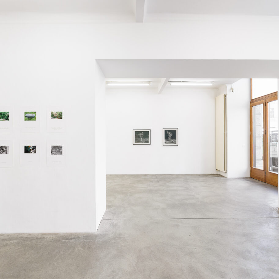 Plants I didn’t ask for, ones I did