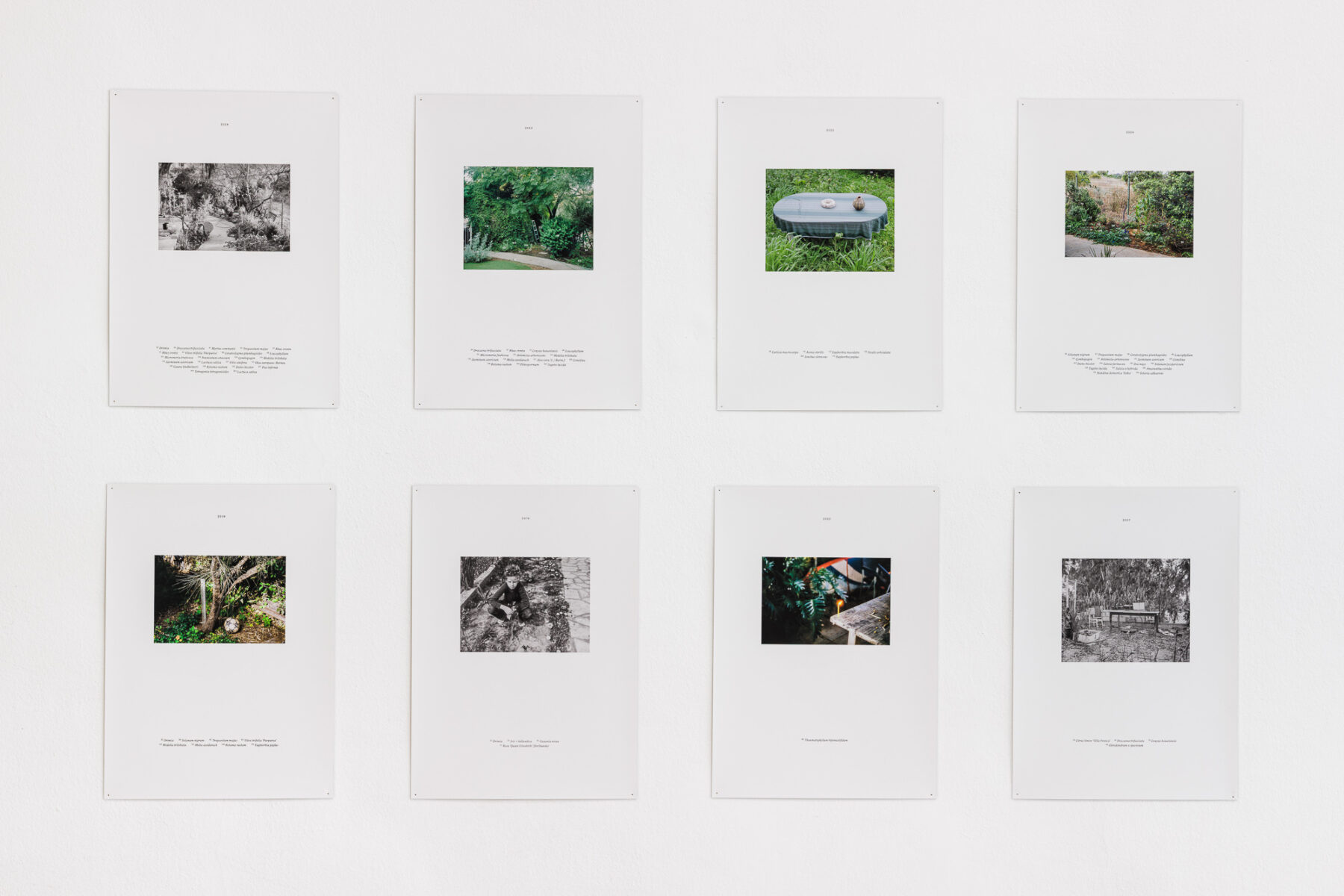 Exhibition view, Galerie Martin Janda, 2026