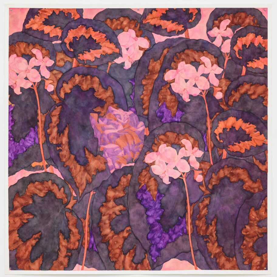 American Flowers