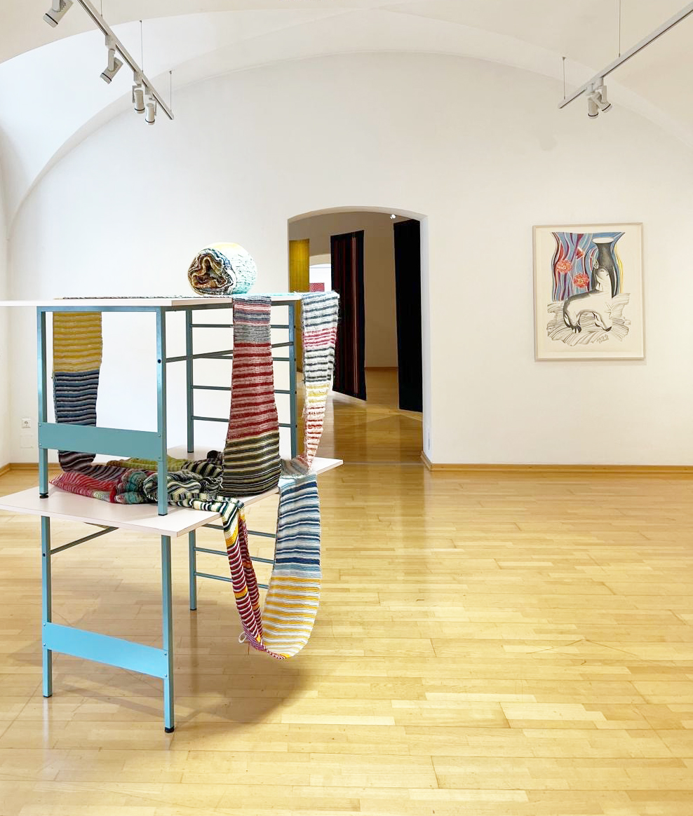 Christine & Irene Hohenbüchler, Stadtmuseum St. Pölten, 2026